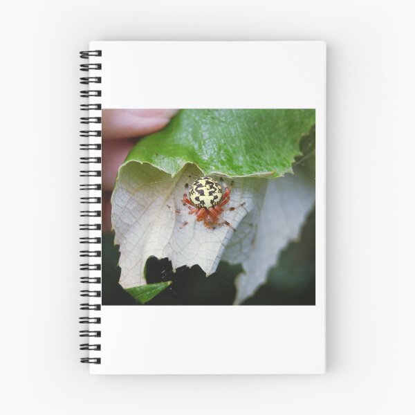 Item preview, Marbled Orb Weaver designed and sold by SusanSeamaiden.