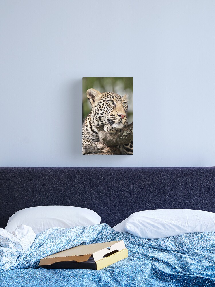 Thumbnail 2 of 3, Canvas Print, Leopard Portrait designed and sold by RichardG-W.