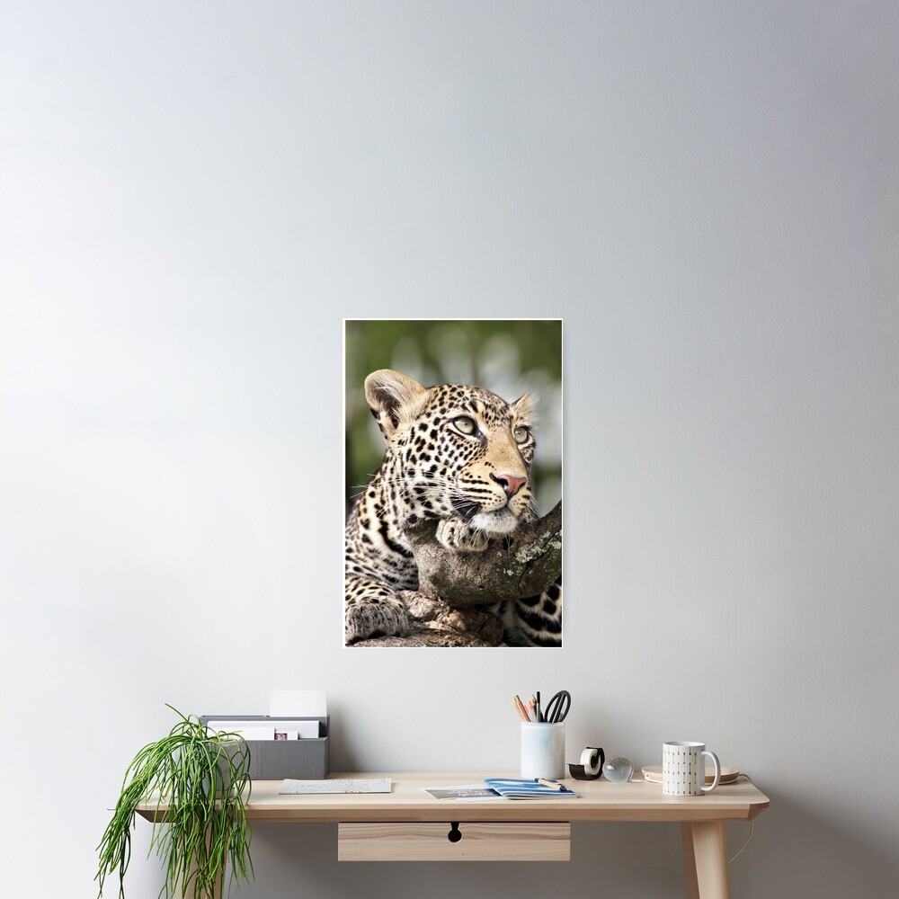 Item preview, Poster designed and sold by RichardG-W.