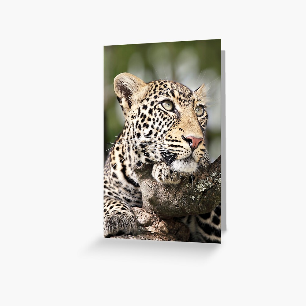 Item preview, Greeting Card designed and sold by RichardG-W.