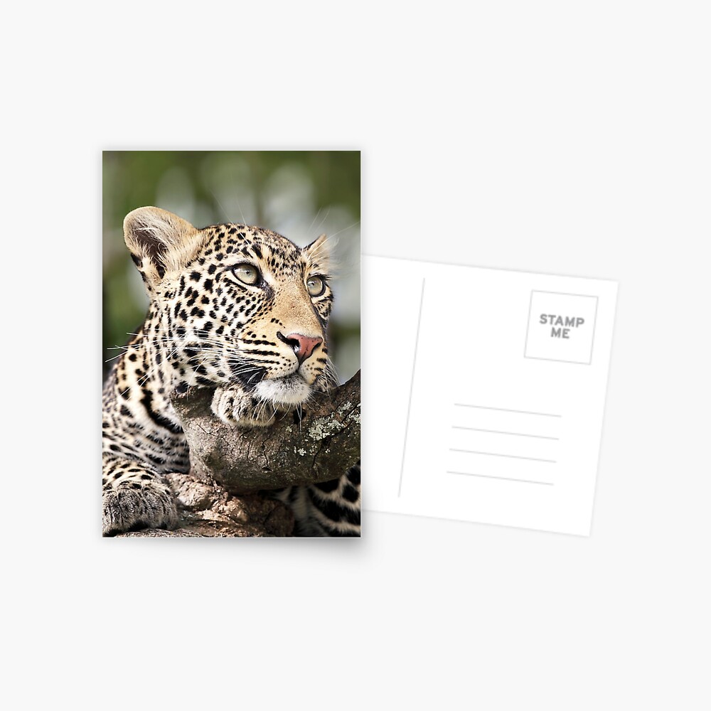 Item preview, Postcard designed and sold by RichardG-W.