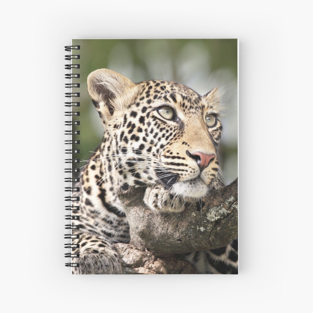 Item preview, Spiral Notebook designed and sold by RichardG-W.