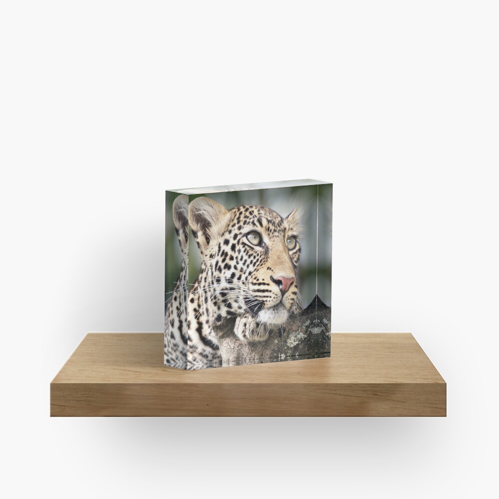 Item preview, Acrylic Block designed and sold by RichardG-W.