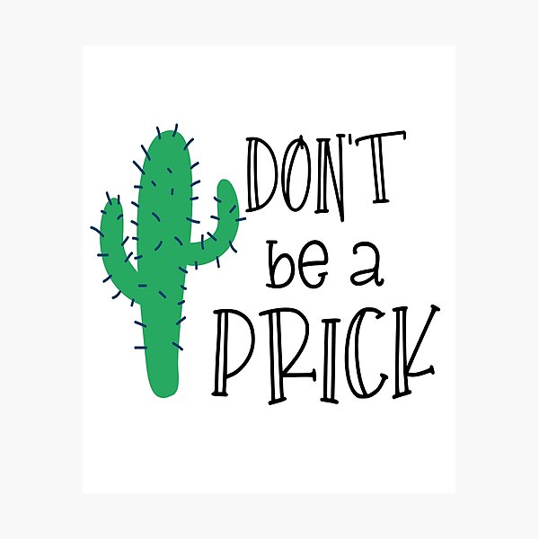 Don't Be A Prick Funny Cactus Pun Rude Party Womens or Mens Crewneck T  Shirt Tee