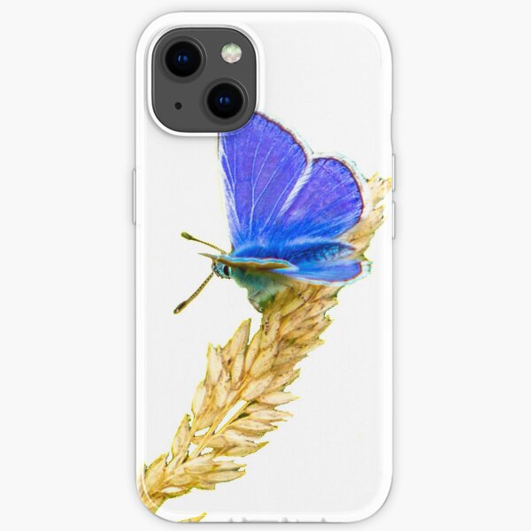 Blue butterfly on grasshead iPhone Soft Case