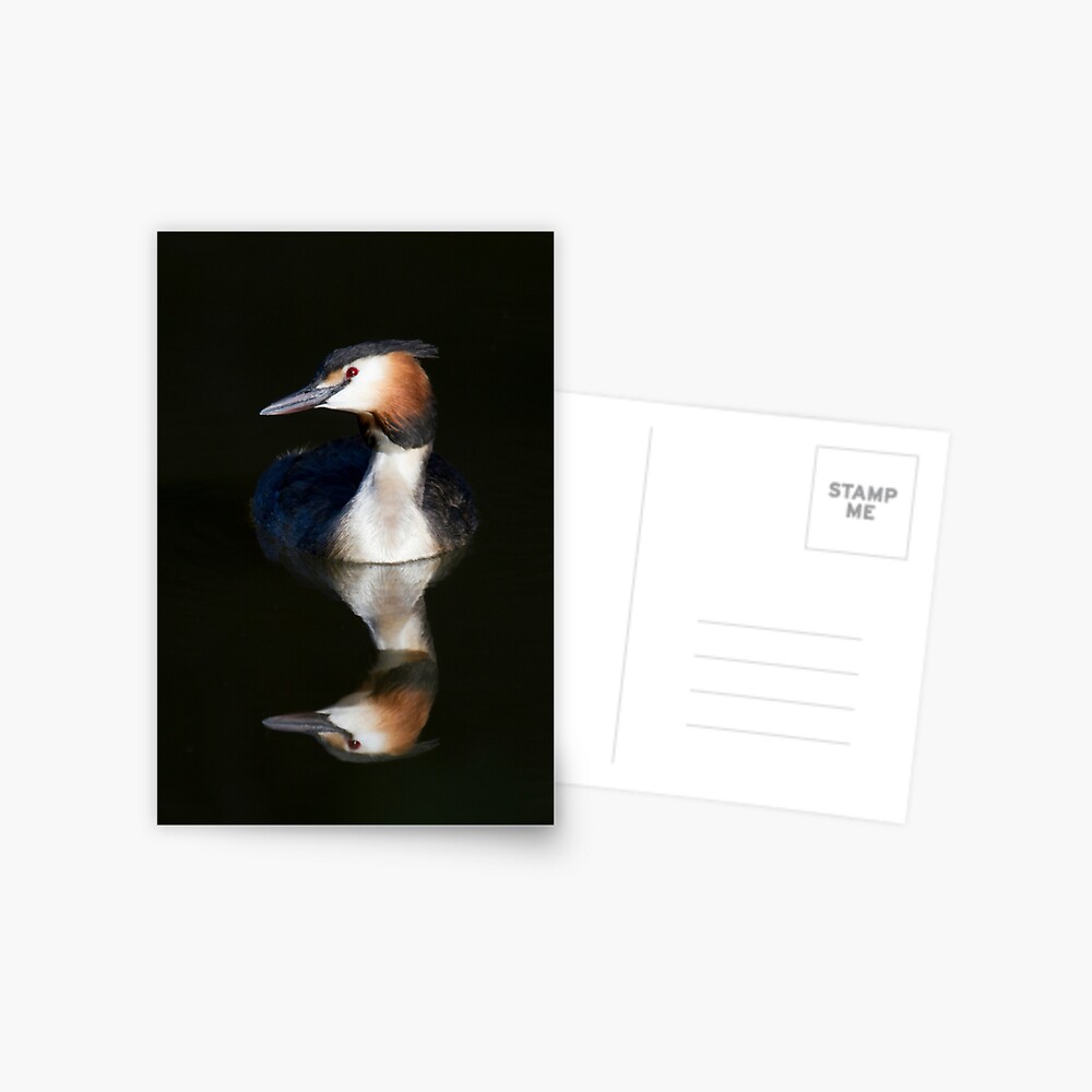 Item preview, Postcard designed and sold by RichardG-W.