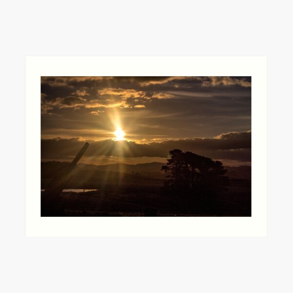 Art Print