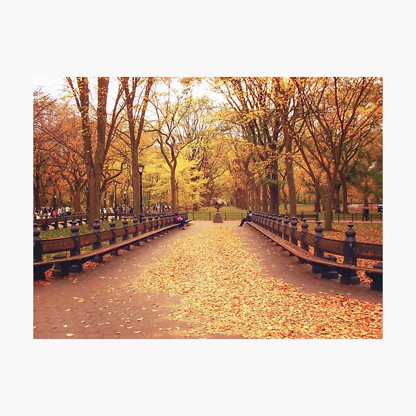 Item preview, Autumn Romance - Central Park designed and sold by Vivienne Gucwa.