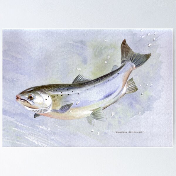 Item preview, Leaping Salmon designed and sold by Maureen Sparling.