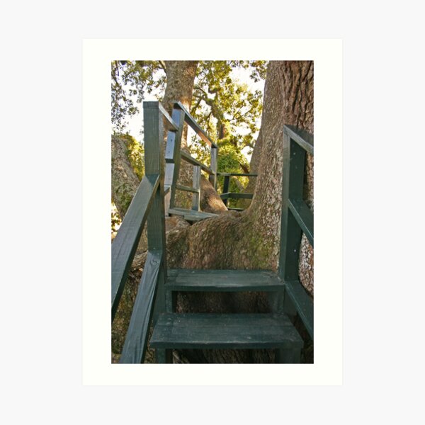 Come into my treehouse... Art Print