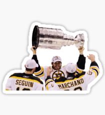 2011 Stanley Cup Champions Sticker