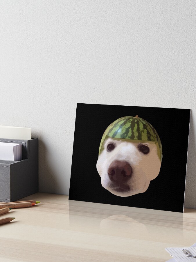 Watermelon Helmet Dog Art Board Print
