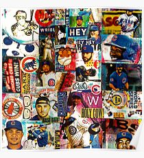CUBS Win! Poster