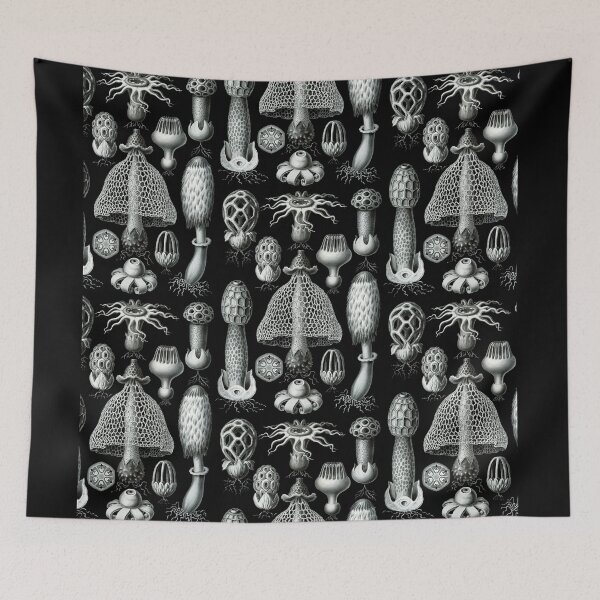 Item preview, Ernst Haeckel - Basimycetes (Mushrooms) designed and sold by ShaMiLaB.