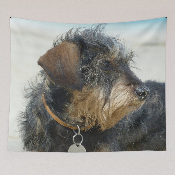 Item preview, Daisy the Dachshund on a Cornish Beach designed and sold by niki2028.