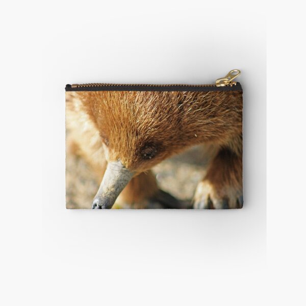 Item preview, Sticky Beak designed and sold by Elysian Photography.