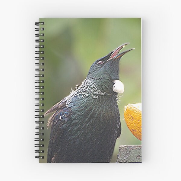 Item preview, Tui.......there's a nail in my orange......!! designed and sold by Roy  Massicks.