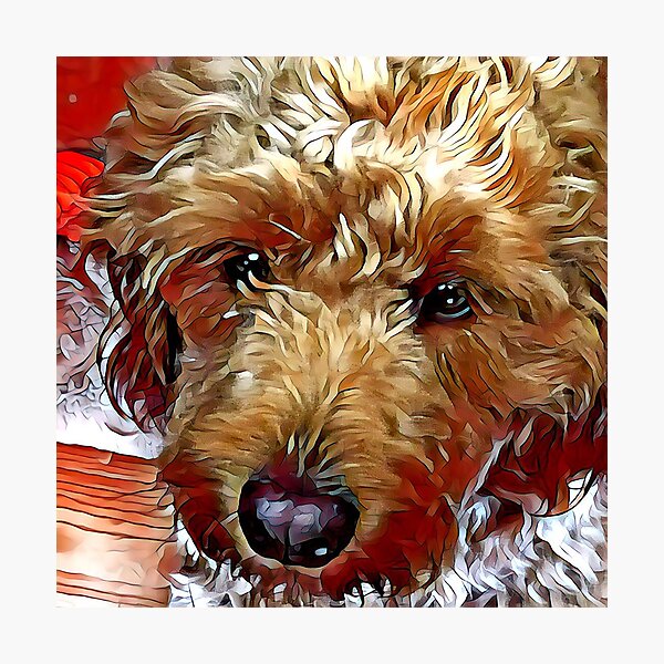 Peek-A-Boo Puppy Photographic Print