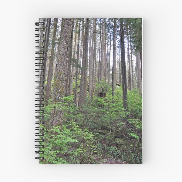 Item preview, Peaceful forest grove designed and sold by perlphoto.