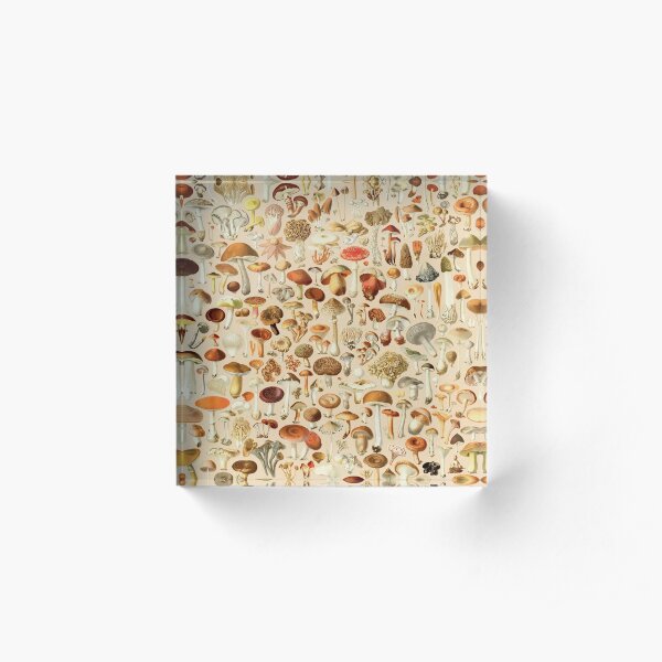 Vintage Mushroom Designs Collection Acrylic Block