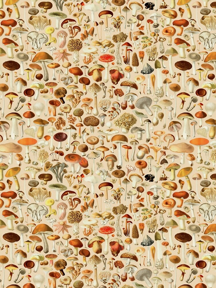 Vintage Mushroom Designs Collection by PixelHunter