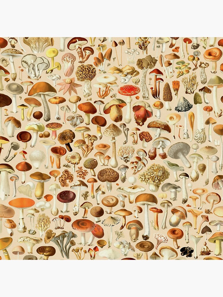 Disover Vintage Mushroom Designs Collection Bag