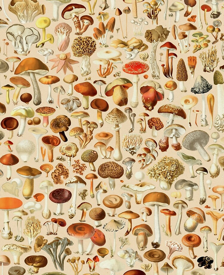 Vintage Mushroom Wallpaper With Adhesive Backing Orange Yellow Brown  1970s  Mushroom wallpaper Vintage mushroom 70s home decor