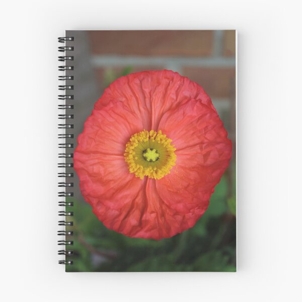 Item preview, Front and Center designed and sold by mackography.