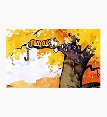 calvin n hobbes sleep Photographic Print