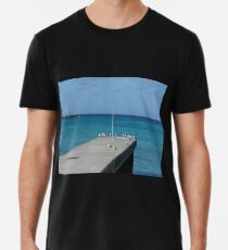 Möwe Pier Premium T-Shirt
