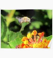 This Bee a Luck Shot! Poster