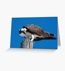 having lunch Greeting Card