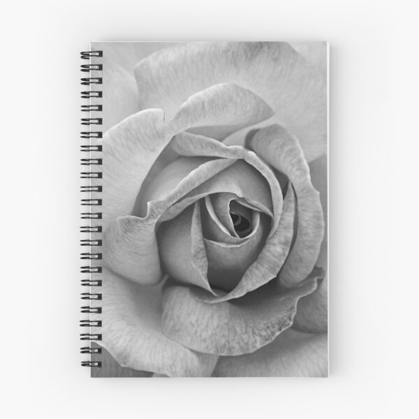 Item preview, Rose 1 designed and sold by Carolyn's Captures - Original Photohgraphy.