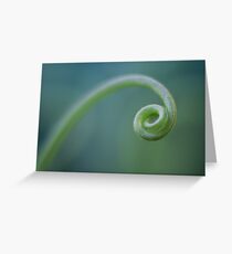 super curl Greeting Card