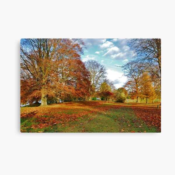 Autumn in Kent (UK) Canvas Print