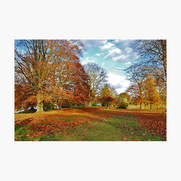 Autumn in Kent (UK) Photographic Print