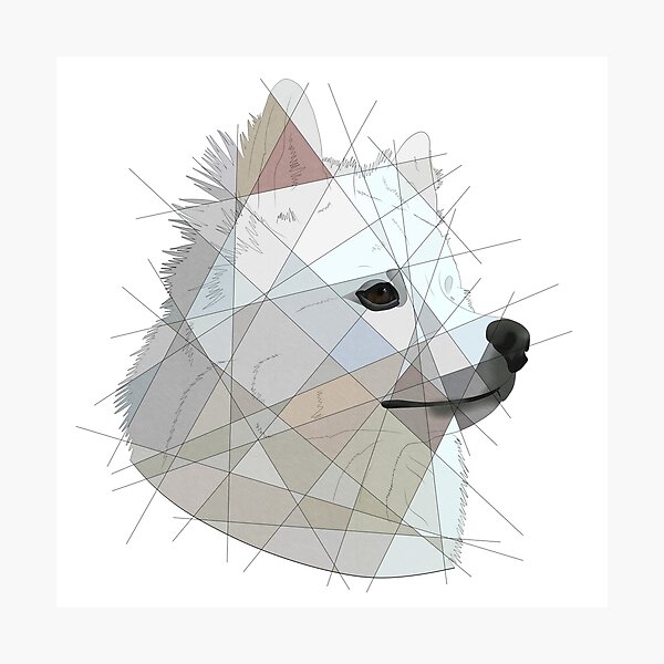 Geometric Spitz Photographic Print