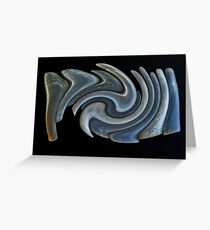 Razor Shells Greeting Card