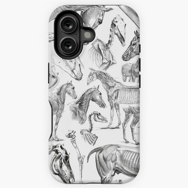 Item preview, Horse Anatomy (black on white) designed and sold by adamcampen.