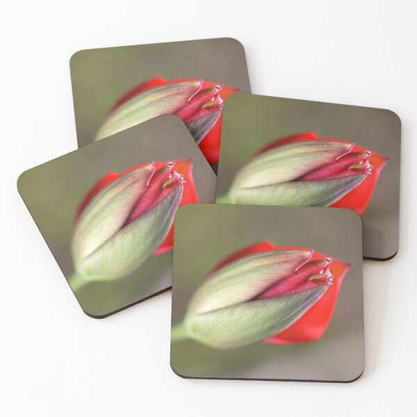 Item preview, Romance The Red Tulip Bud designed and sold by Joy Watson - Natural Light Photography .
