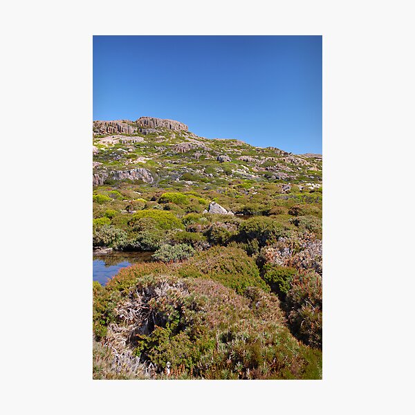 Ben Lomond Photographic Print