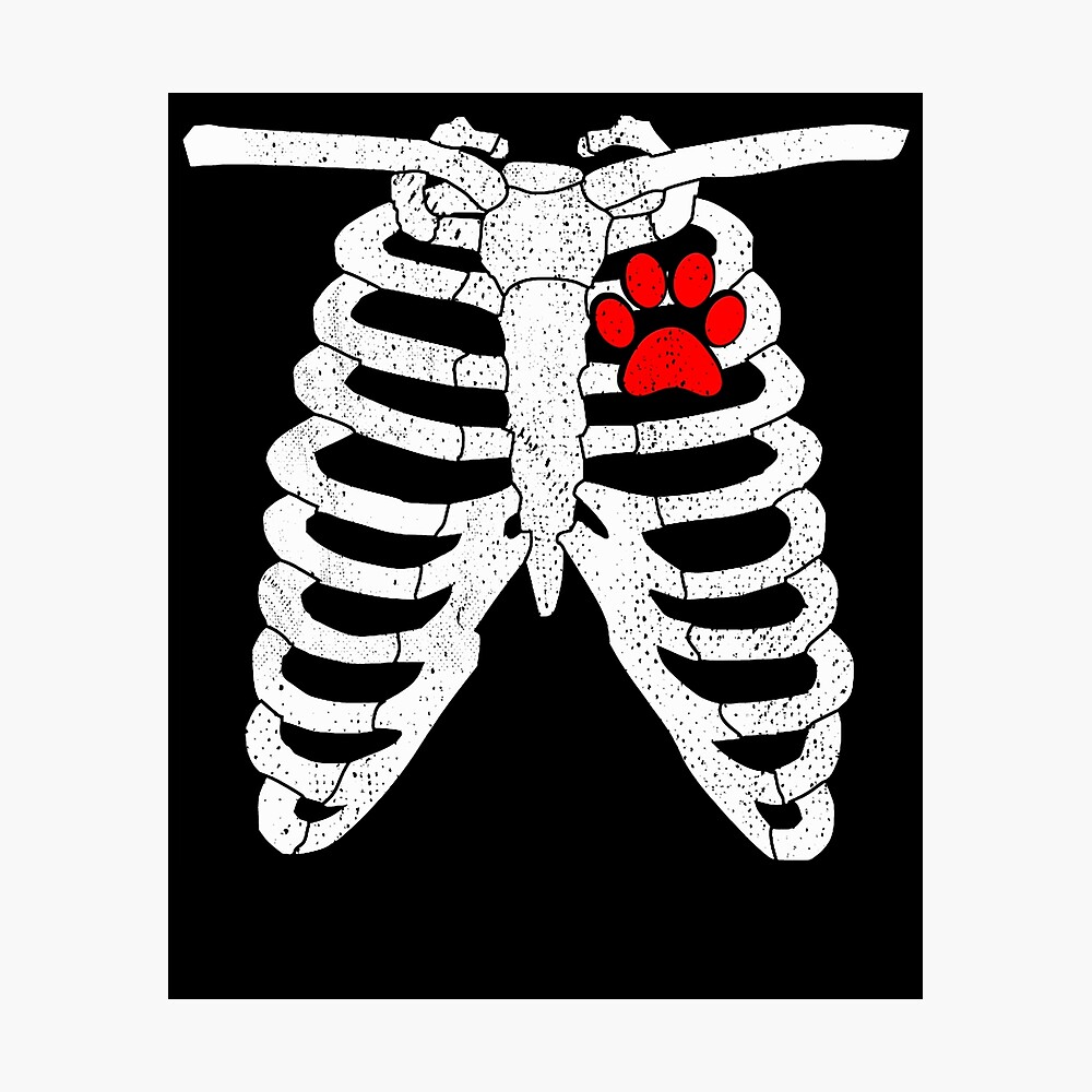 Dog Rib ubicaciondepersonas.cdmx.gob.mx