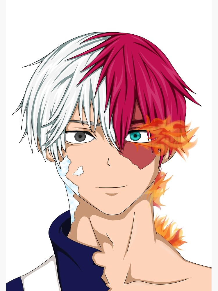 smile todoroki