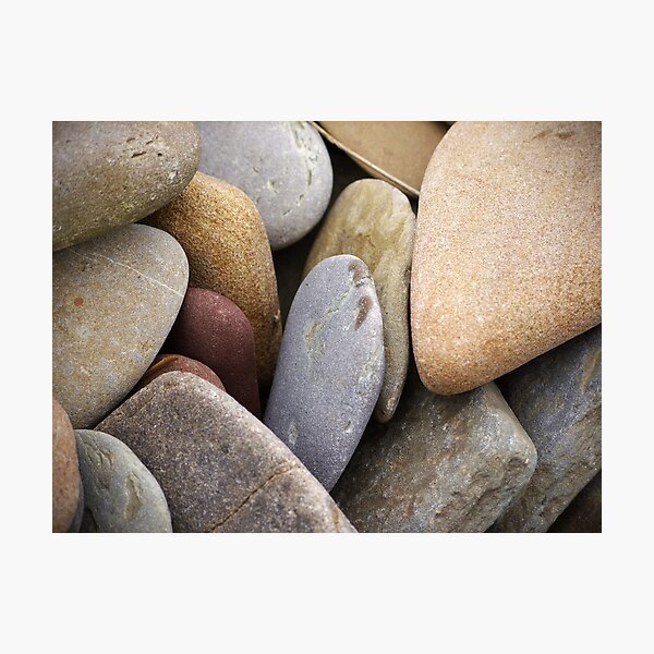 Natural Collage Photographic Print