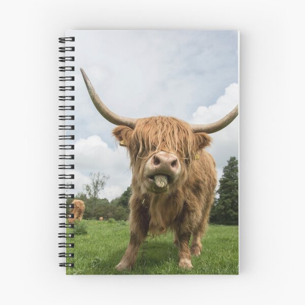 Aperçu de l'œuvre Highland Cow debout dans le champ créée et vendue par Alex Sharp.