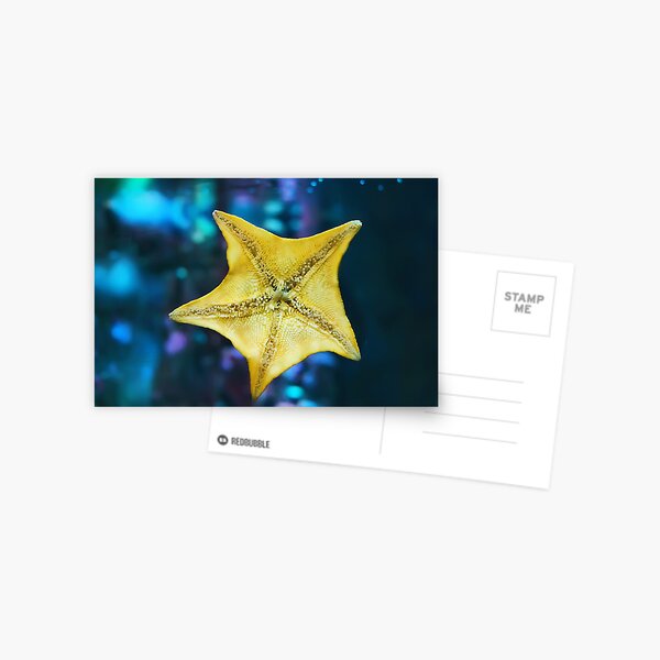 Item preview, Star designed and sold by Luca Renoldi.