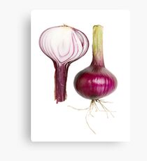 Red Onion Canvas Print