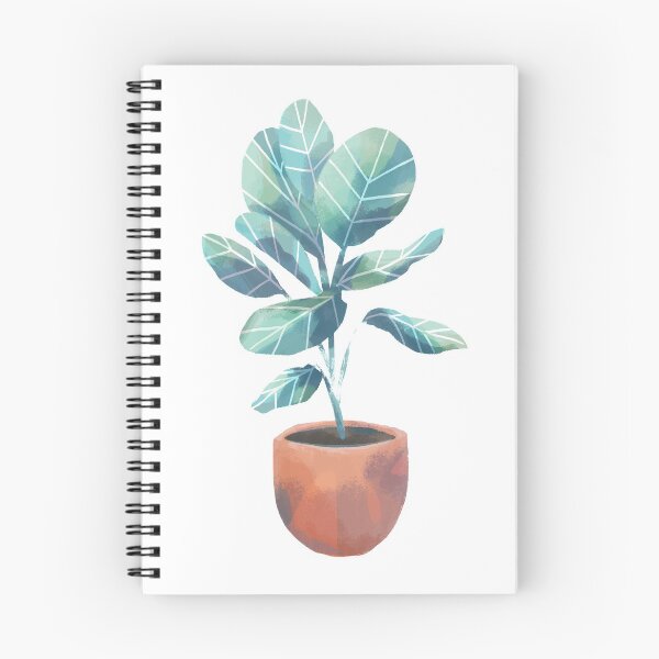 Item preview, Green House Plant - Ficus Audrey designed and sold by tarynjohnson.