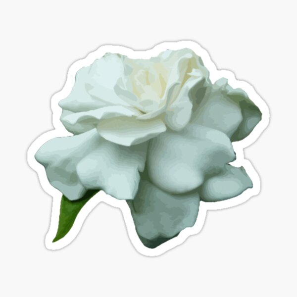 Gardenia Sticker