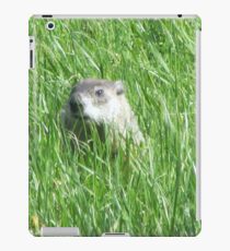 Groundhog Day iPad Case/Skin